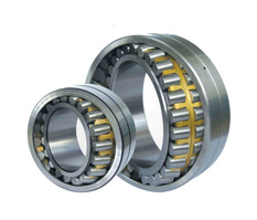 成人A毛片免费播放